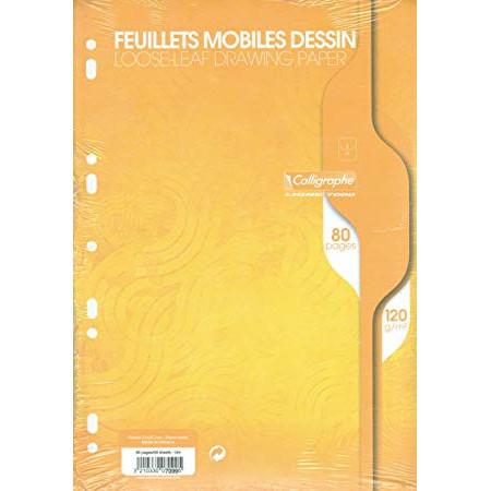 FEUILLETS DE DESSIN MOBILE PERFOREE, Format A4 - 80 PAGES