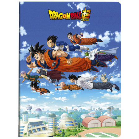 PIQURE DBZ 24X32 96P