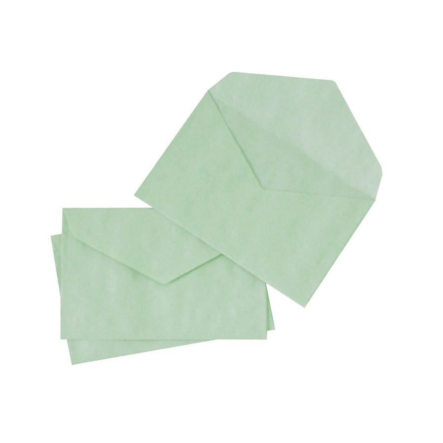 Enveloppes ELECTIONS 90x140 mm - vert 80 g