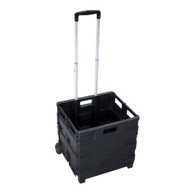 TROLLEY PLIANT POIGNEE LARGE 35KG