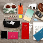 POCHETTE PLATE ALL YOU NEED PETIT FORMAT