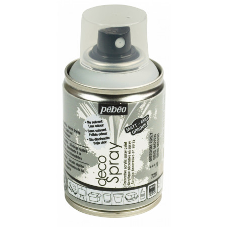 DECOSPRAY 100ML GRIS MYEN