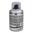 DECOSPRAY 100ML PERLE