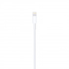 CABLE LIGHTNING APPLE 2M BLANC