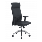 FAUTEUIL PRESIDENT THEODORE