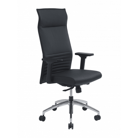 FAUTEUIL PRESIDENT THEODORE