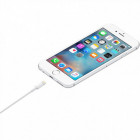 APPLE CÂBLE LIGHTNING APPLE 0.50M