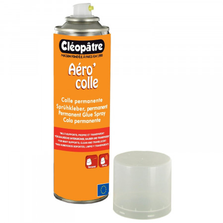 AÉROCOL PERMANENT DE 250 ML