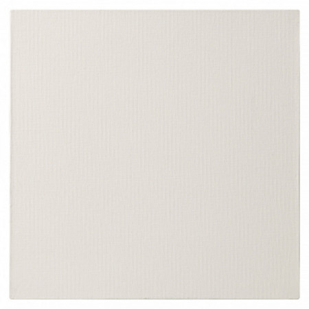 CARTON A PEINDRE 30X30 3MM BLANC