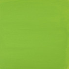 PEINTURE ACRYL VERT JAUNE 75ML