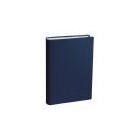 AGENDA 15X21 PLANNING 21SD MLT BLEU MARI