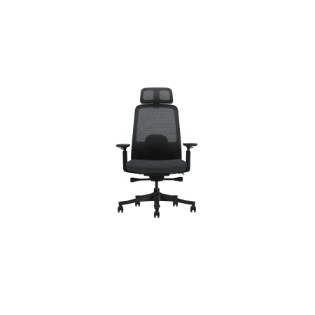 Fauteuil de bureau DAILY – Ergonomie avancée et confort respirant au quotidien