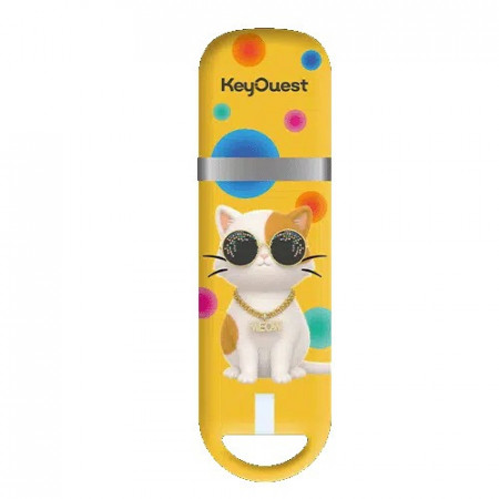 Clé USB 32 Go KeyOuest Animaux Chat – Design chat aux lunettes de soleil, édition Rentrée des Classes 2026 Collection Animaux