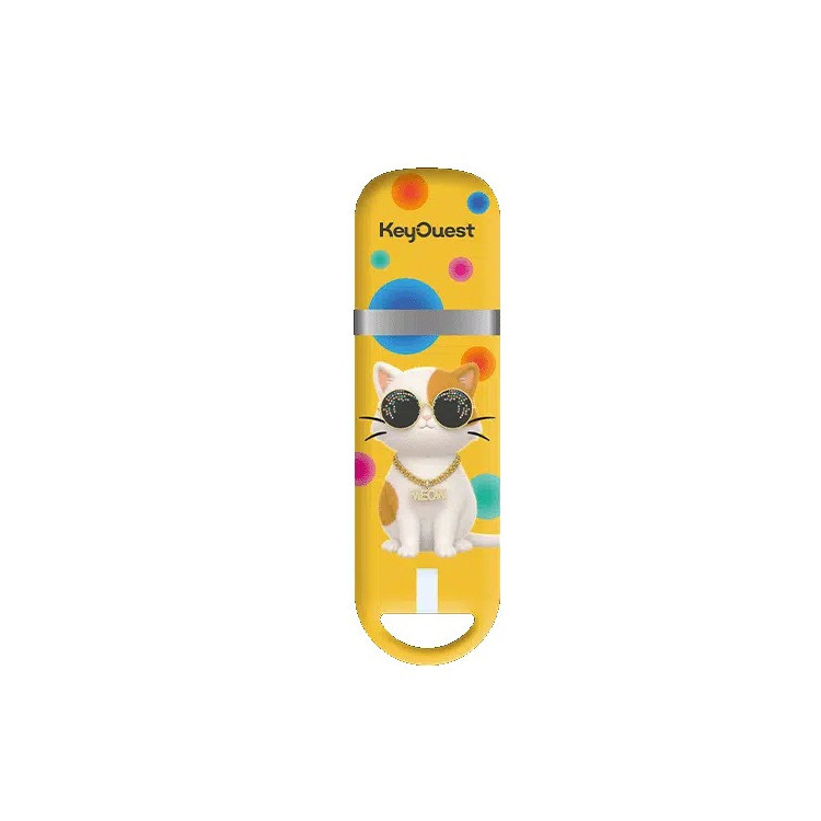 Clé USB 32 Go KeyOuest Animaux Chat – Design chat aux lunettes de soleil, édition Rentrée des Classes 2026 Collection Animaux