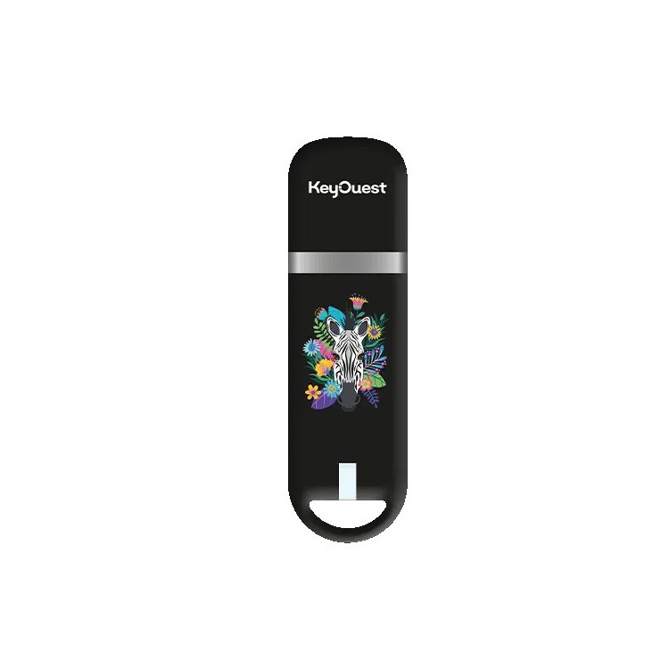 Clé USB 32 Go KeyOuest Safari Zèbre – Design savane et zèbre, édition limitée Collection Safari