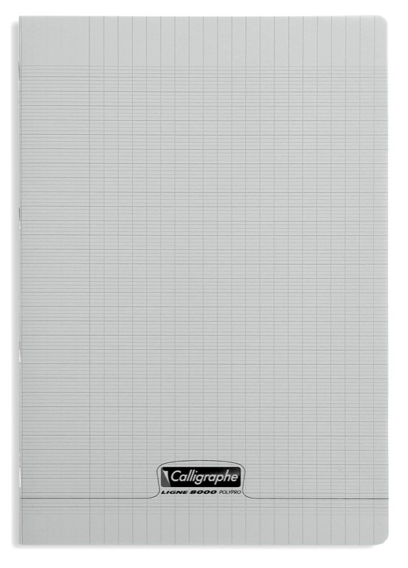Cahier polypro Calligraphe petit format 17x22 96p grands carreaux