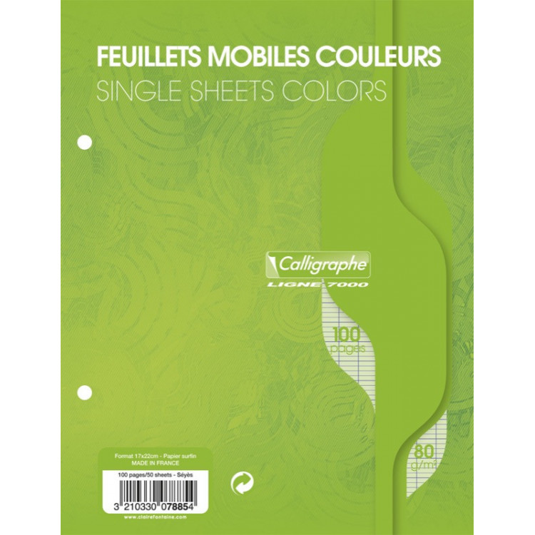 PAQUET COPIES SIMPLE PERFOREE, PETIT FORMAT, GRANDS CARREAUX, 17x22 - 100 PAGES SEYES - VERT