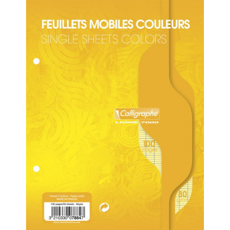 PAQUET COPIES SIMPLE PERFOREE, PETIT FORMAT, GRANDS CARREAUX, 17x22 - 100 PAGES SEYES - JAUNE