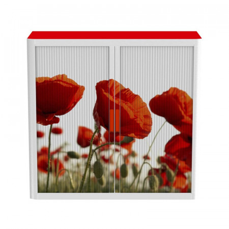 ARMOIRES BASSE A MOTIFS : COQUELICOT